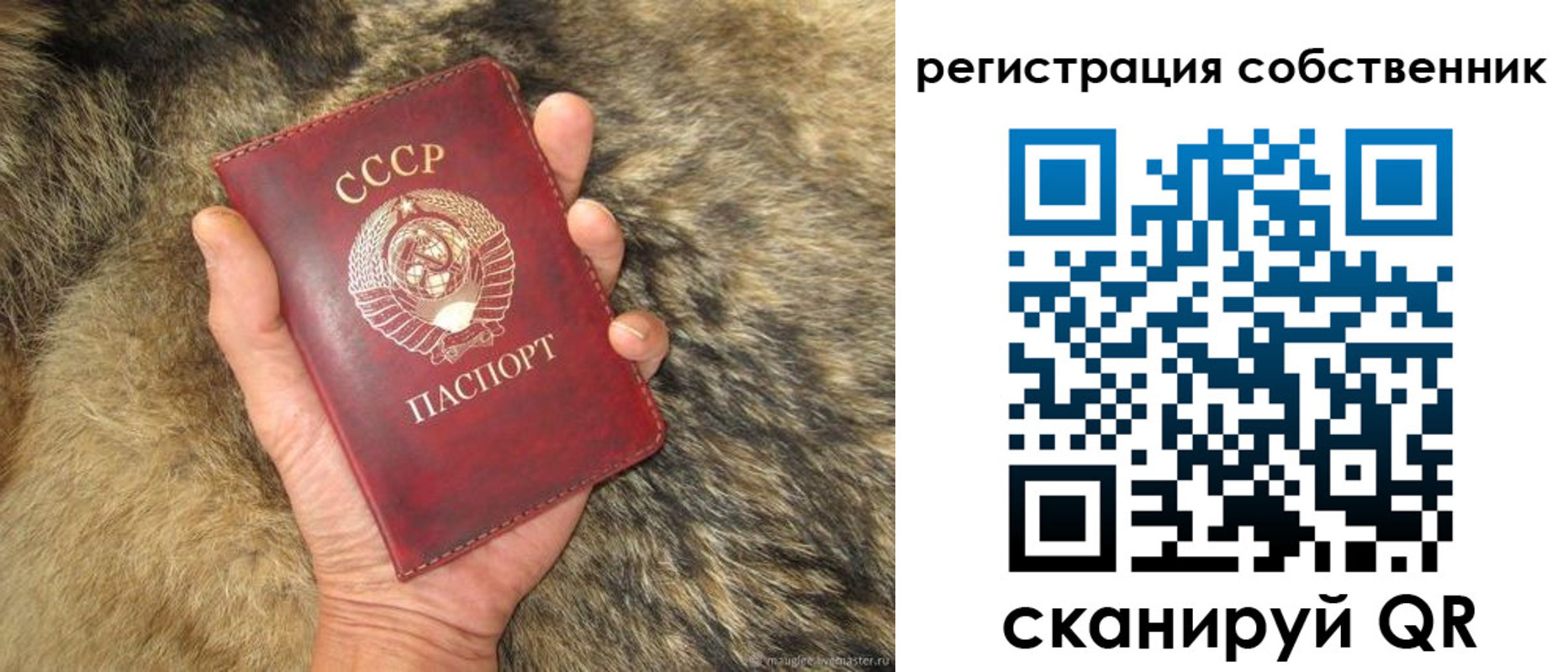 прописка 2025 в Калачинске